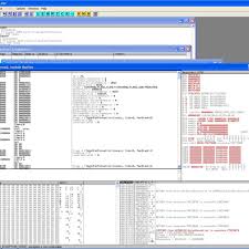 Example Of Maxsea Software Executable Code Editing Using