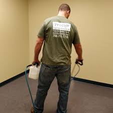 carpet cleaning near barnesville ga