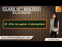 Cbse Class 10 Biology