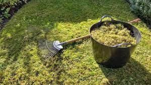 How To Scarify Lawn By Hand With Rake