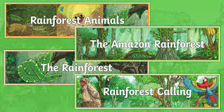 Mammals of these biomes have generally smaller and sturdy bodies. What Are Amazon Rainforest Animals Twinkl Teaching Wiki