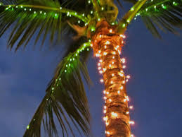 Check spelling or type a new query. Palm Tree Christmas Light Ideas Novocom Top