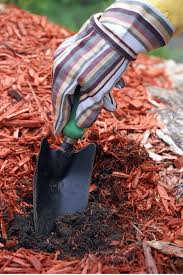 save on mulch just 2 00 a bag home
