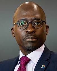 Anc nec member, former ancyl president. Open Letter To Malusi Gigaba Home Affairs Is A National Nightmare News24
