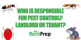 Pest Control Landlords Or Tenants