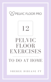 pelvic floor exercises ebook pelvic