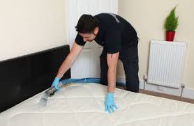 mattress cleaning services in london