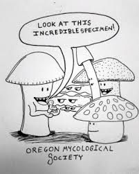 A Combined Approach To Mushroom Identification