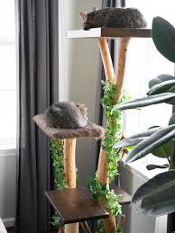 diy cat tree using real branches