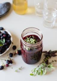 Blackberry Kombucha Shrub Cocktail