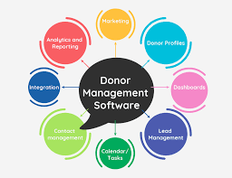 top 12 donor management in