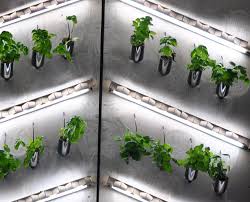 Check spelling or type a new query. Hydroponic Wine Bottle Wall Garden At Student Bar Urban Gardens