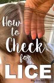 You will recognize it simply from the fact that it's moving and it's brown or grey in colour. Identify My Lice Advice