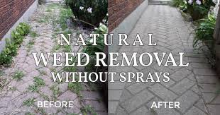 removing weeds from bricks without