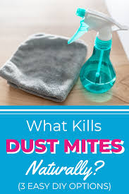 can hair dryer kill dust mites