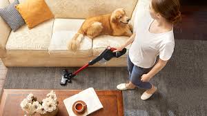 cleaning essentials from eureka vacuums