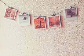 display your instax and polaroid
