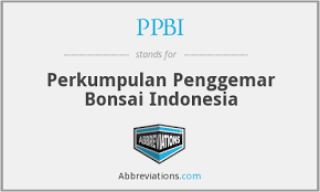 Kategori ini memiliki 6 halaman, dari total 6. Ppbi Perkumpulan Penggemar Bonsai Indonesia