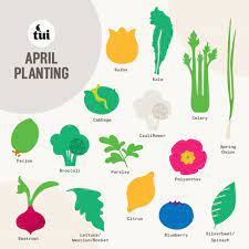 April Gardening Guide