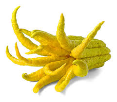 The candied rind of the citron fruit. Buddha S Hand Citron Frieda S Inc The Specialty Produce Company