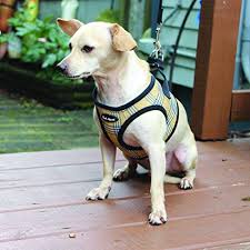 Bark Appeal No Pull Harness Pet Vest Soft Step In Mesh Puppy Comfort Adjustable Padded Vest Ez Wrap No Choke Design Harness With Leash Small Tan
