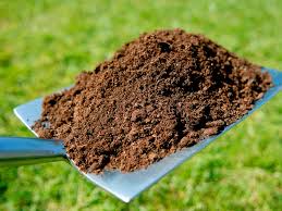what is the proper soil mix for gr