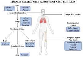 nanotechnology in cosmetics