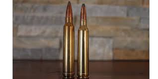 7mm Rem Mag Vs 300 Win Mag What You Know May Be Wrong Big