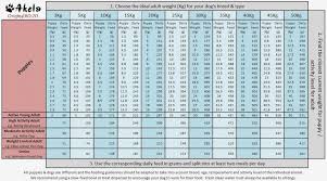 Science Diet Puppy Food Chart