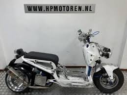honda nps white used search for your
