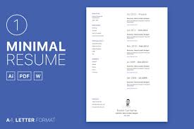 In the following article we will show you which cv format is best suited for freshers. 30 Best Cv Resume Templates 2021 Theme Junkie