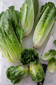 romaine lettuce the harvest kitchen
