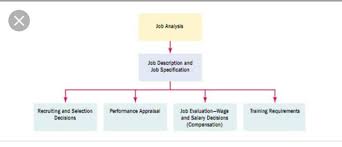 Job Analysis And Job Description Work Flow Chart