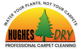 trustdale certified carpet cleaners