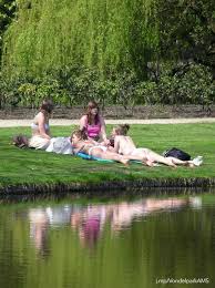 On sunny days, amsterdam's green lung is the most densely populated section of the city. Vondelpark Amsterdam You Won T Believe Why Dog Owners Are Upset