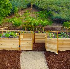 cedar raised garden bed 12x8 outdoor