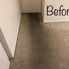 carpet cleaning near mayville nd