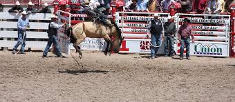 Cheyenne Frontier Days Rodeo Tickets Seatgeek