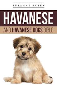 The alaskan klee klai's nickname is the husky lite. Havanese Ultimate Havanese Book Complete Manual For Havanese Dogs Care Costs Feeding Grooming Health And Training Hoppendale George Moore Asia 9781910410905 Amazon Com Books