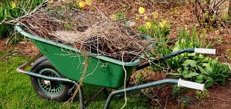 Tips On Your Spring Yard Cleanup