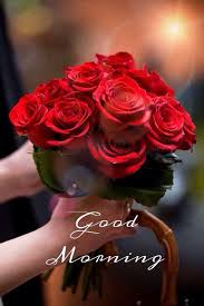 good morning red roses pictures