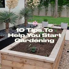 10 Tips To Help You Start Gardening