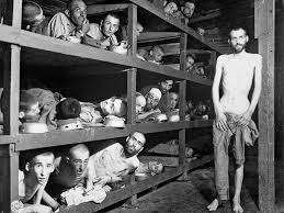 Useful notes / the holocaust. What Is The Origin Of The Term Holocaust Britannica