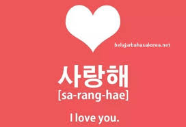 Bahasa korea merupakan bahasa yang digunakan oleh masyarakat di semenanjung daratan korea. Belajar Bahasa Korea Aku Cinta Kamu Belajarbahasakorea Net