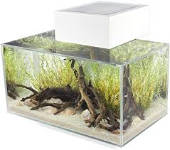 Amazon Com Fluval Edge 6 Gallon Aquarium With 21 Led Light White Modern Fish Tank Pet Supplies