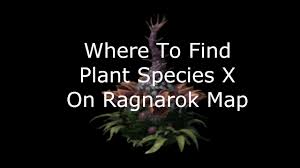 Willow (lv 21) mandragora (lv 22) wolf (lv 24) hornet (lv 38) argiope (lv 43) sunken ship. Best Place To Get Plant Species X On Ragnarok Map Ark Survival Evolved Youtube