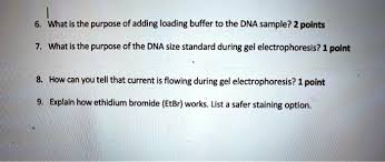 adding loading buffer to the dna sle