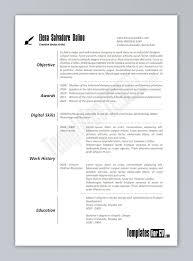 Professional Resume Writing Software   Free Resume Example And     clinicalneuropsychology us
