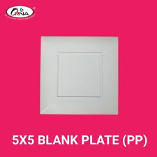 Orna Electrical Blank Wall Switch Plate