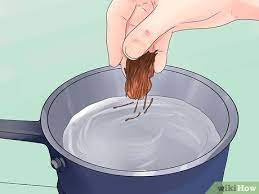 3 ways to make chewing gum wikihow